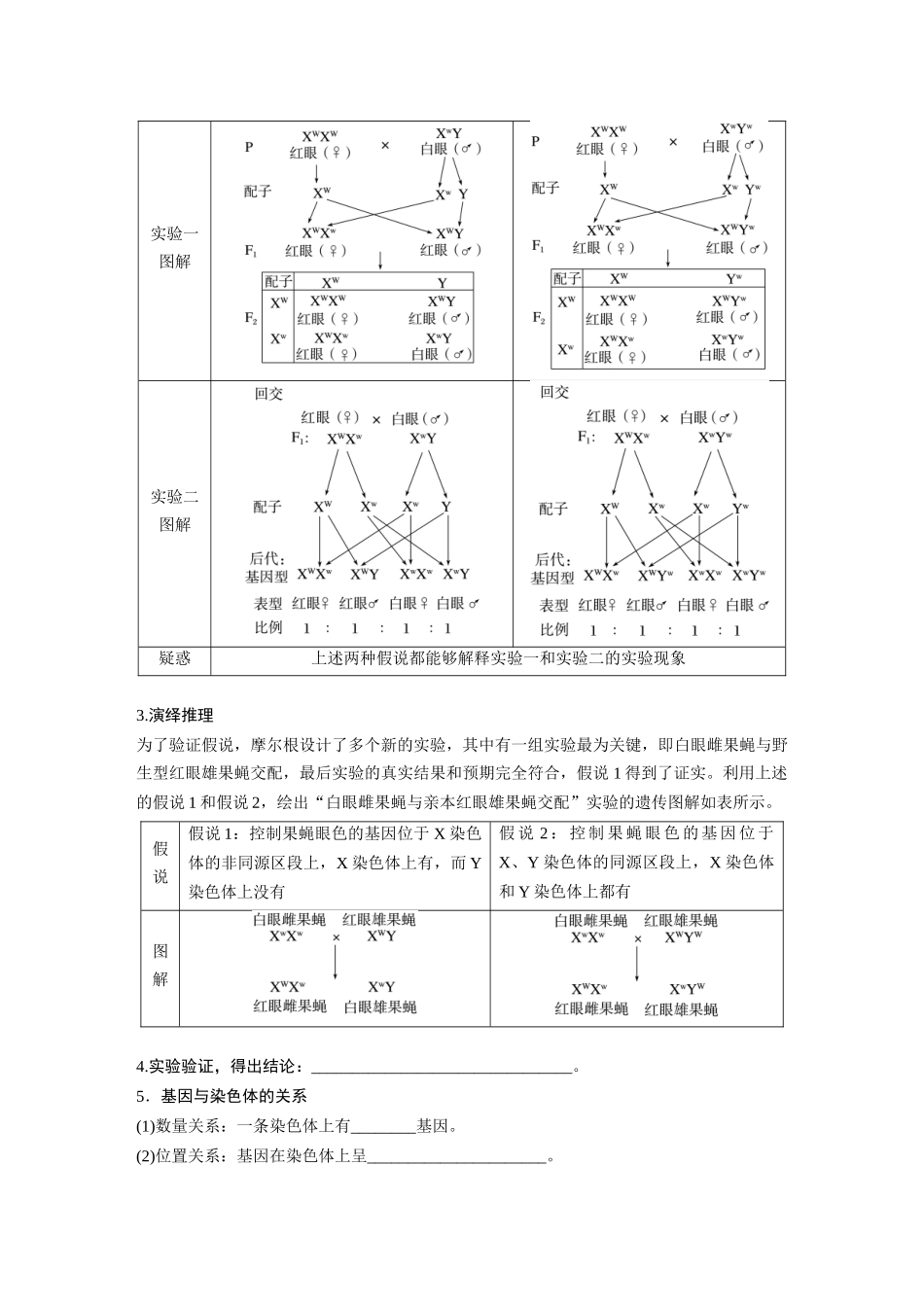 第5单元 第7课时 基因在染色体上的假说与证据.docx_第3页