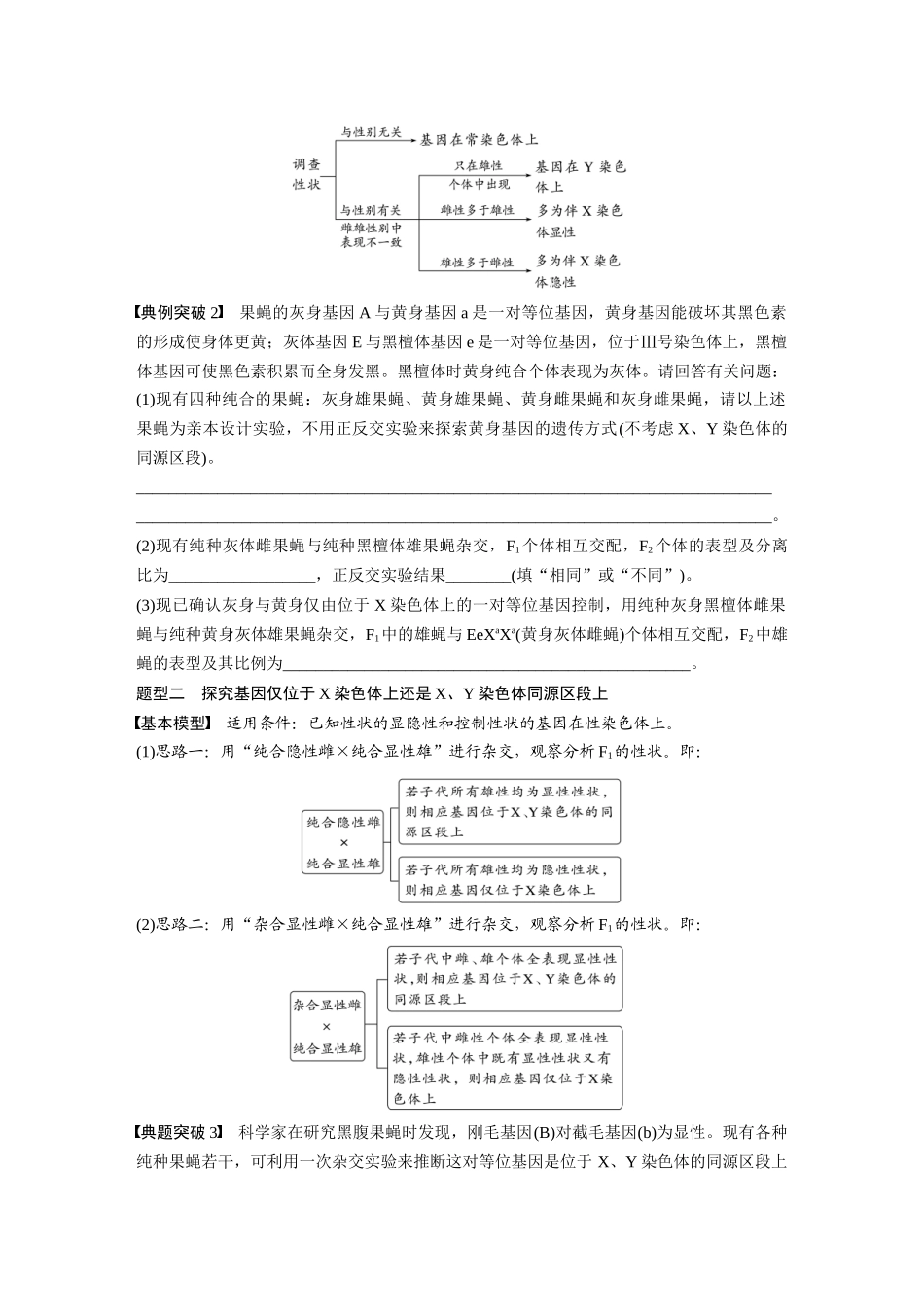 第5单元 第9课时 与性染色体相关的基因位置的分析与判断题型突破.docx_第2页