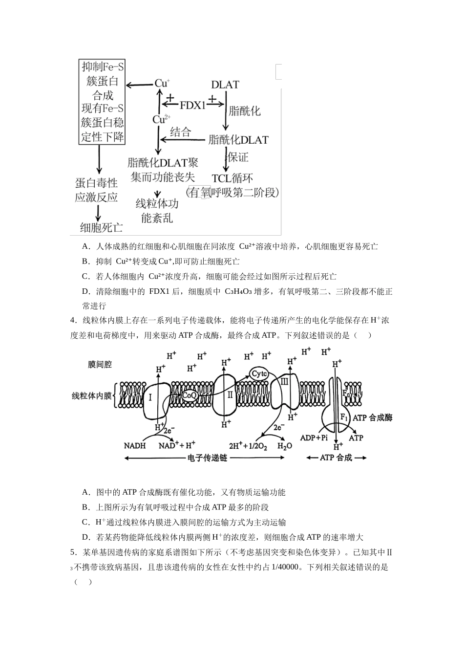 题型04 图示图解和表格类 (原卷版).docx_第2页