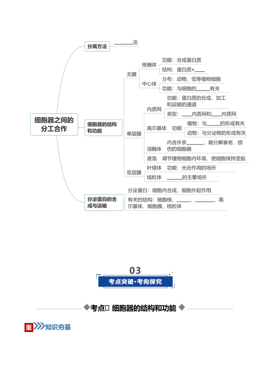 第06讲 细胞器和生物膜系统(复习讲义)(全国通用)(学生版).docx_第3页