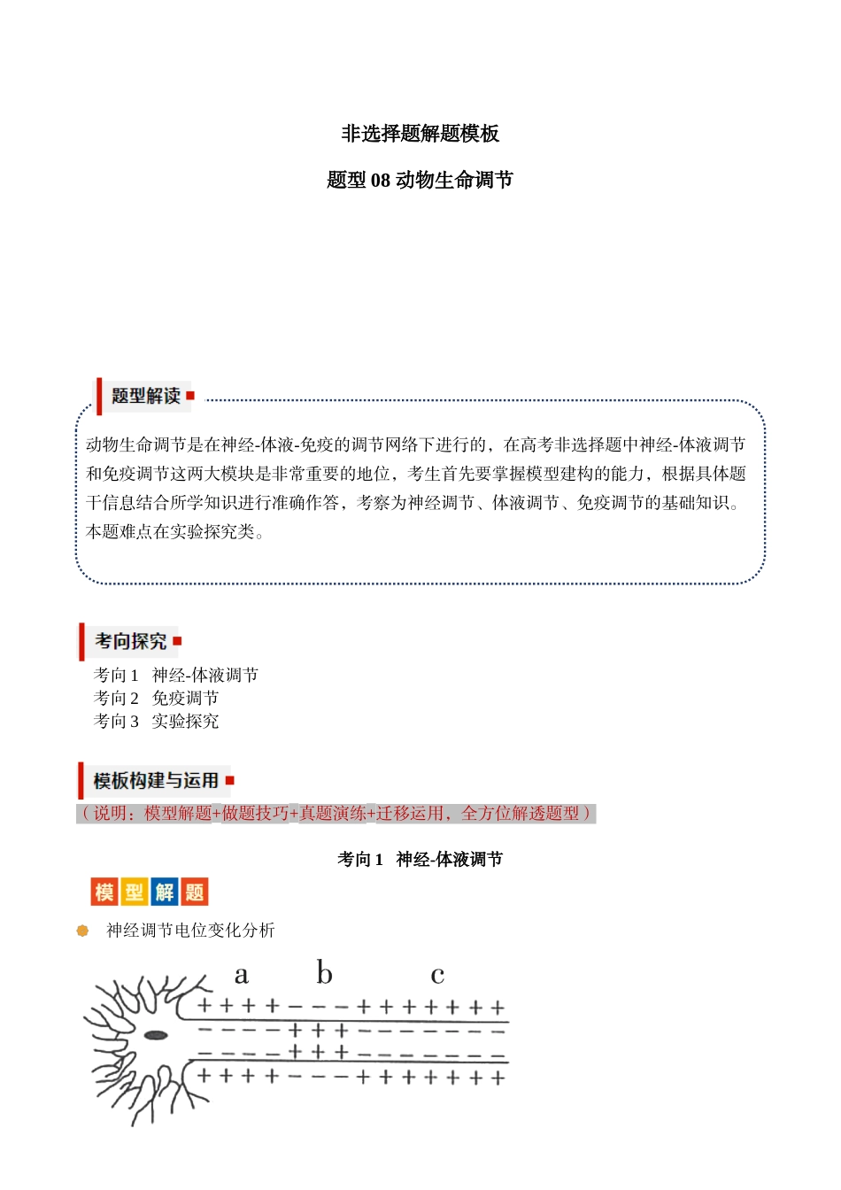 题型08 动物生命调节(3大考向模型解题）（原卷版）.docx_第1页