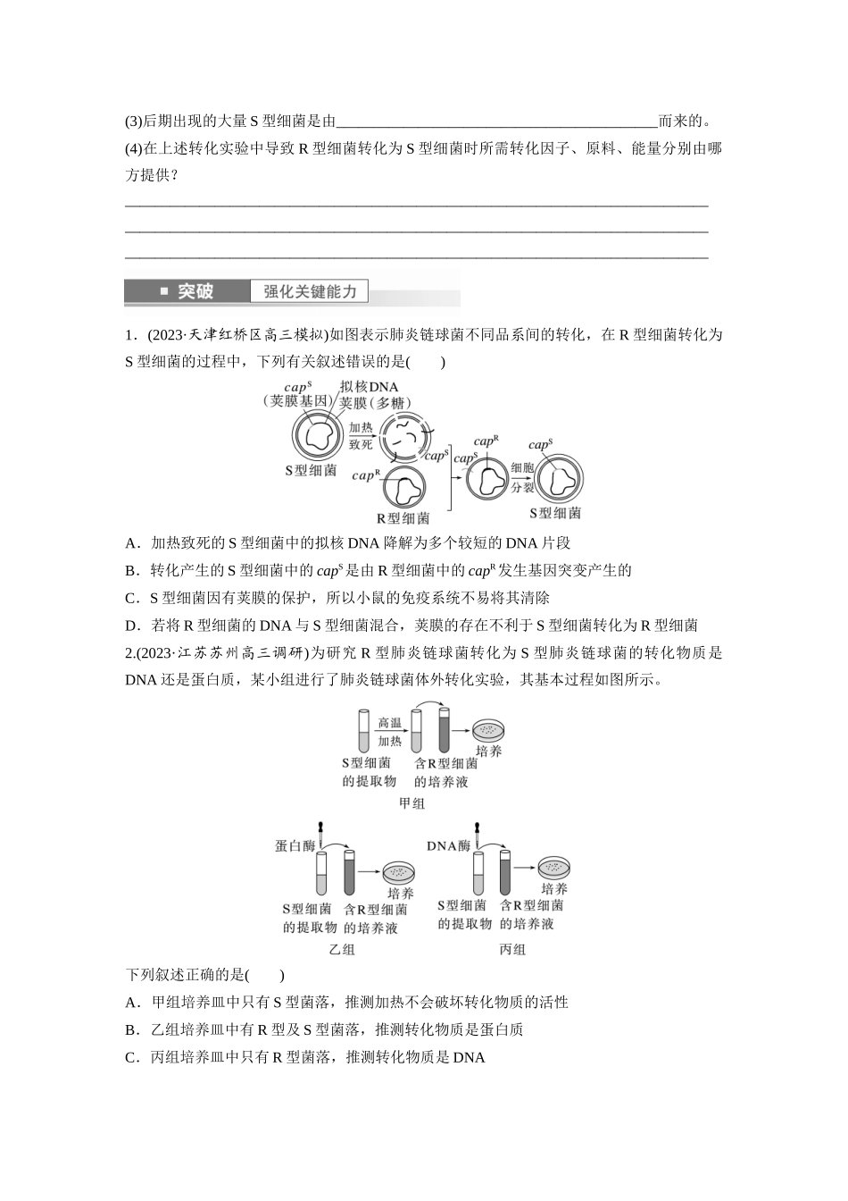 第6单元　第1课时　DNA是主要的遗传物质.docx_第3页
