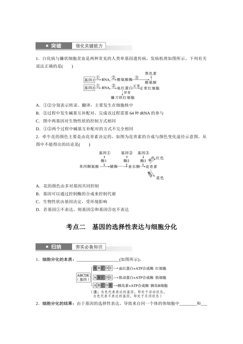 第6单元 第4课时 基因表达与性状的关系.docx_第3页