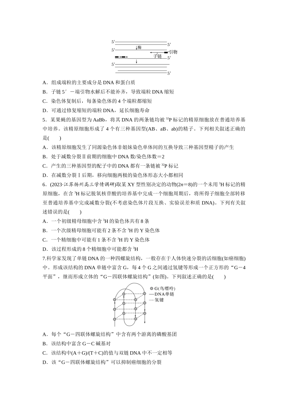 第6单元 课时练2 DNA的结构与复制.docx_第2页