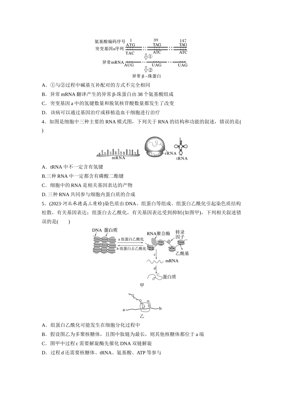 第6单元 课时练3 基因的概念与表达.docx_第2页