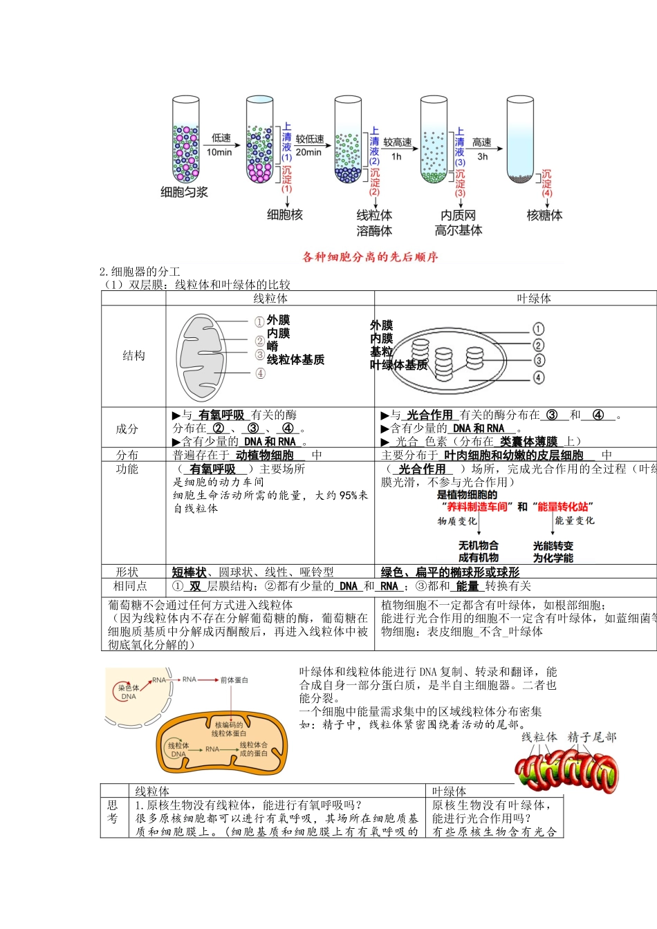 第6讲 细胞质和生物膜系统（讲义）（教师版）.docx_第3页