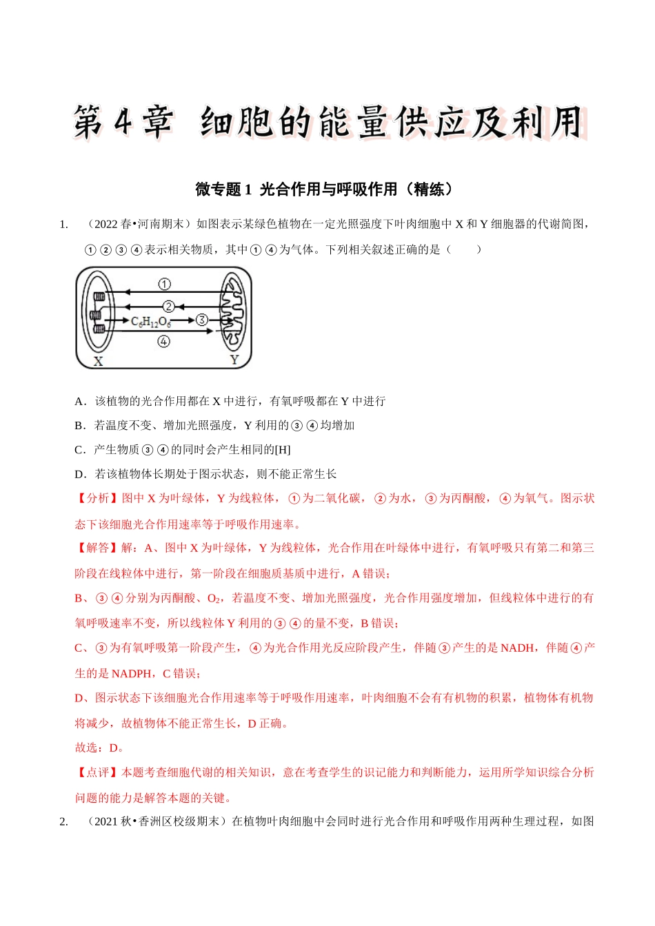 微专题1 光合作用与呼吸作用(精练)(解析版).docx_第1页