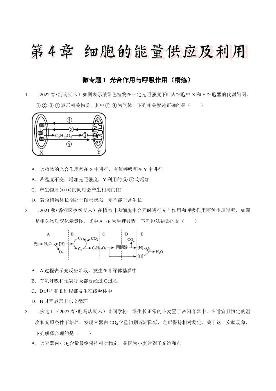 微专题1 光合作用与呼吸作用(精练)(原卷版).docx_第1页