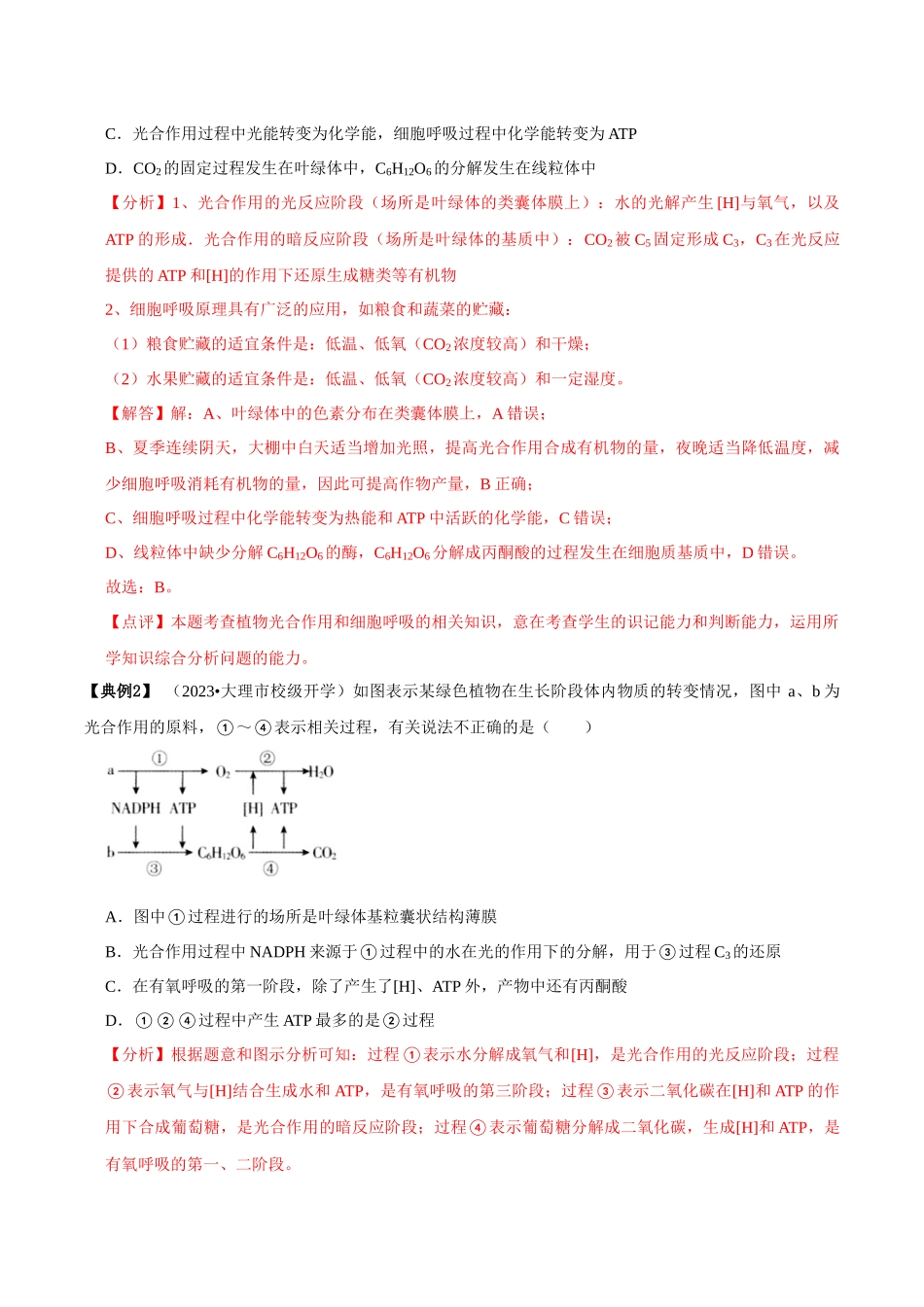 微专题1 光合作用与呼吸作用(讲义)(解析版).docx_第3页