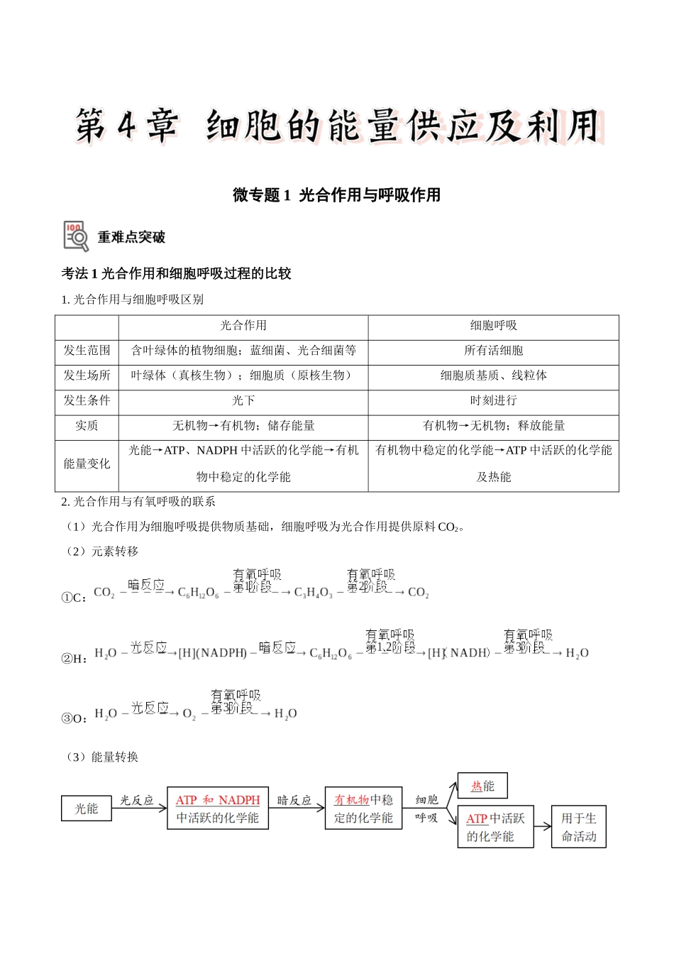 微专题1 光合作用与呼吸作用(讲义)(原卷版).docx_第1页