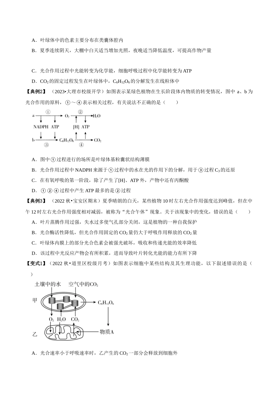 微专题1 光合作用与呼吸作用(讲义)(原卷版).docx_第3页