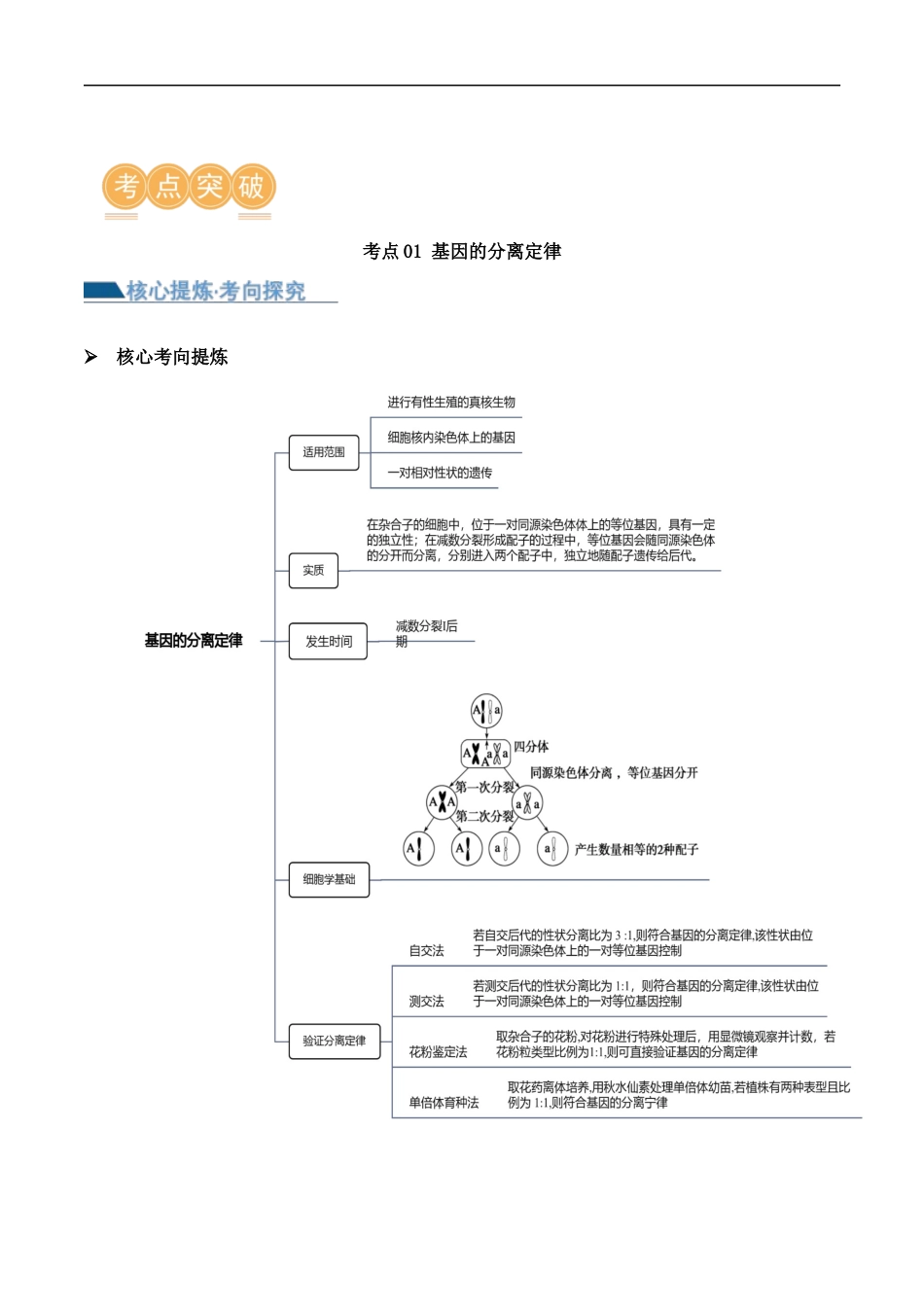 第07讲 基因的分离定律和自由组合定律（讲义）解析版.docx_第3页