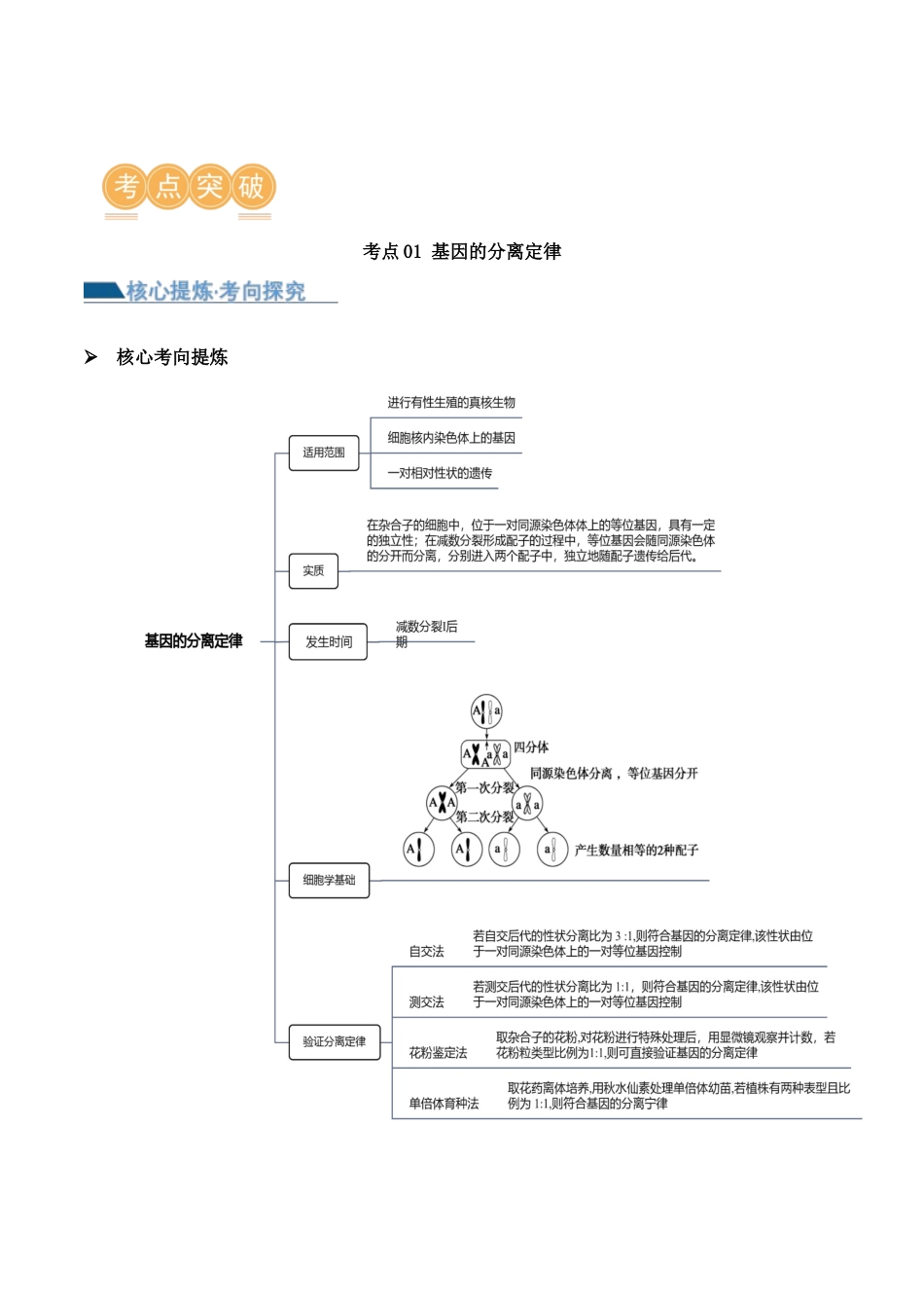 第07讲 基因的分离定律和自由组合定律(讲义)原卷版.docx_第3页