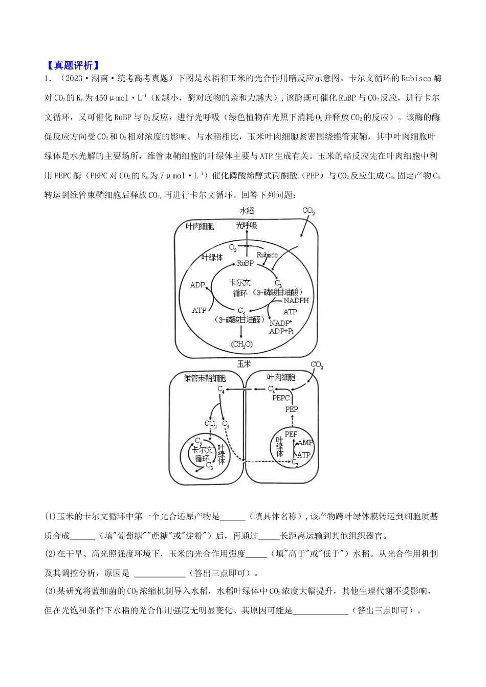 微专题02 植物生理及农作物增产(解析版).docx_第2页