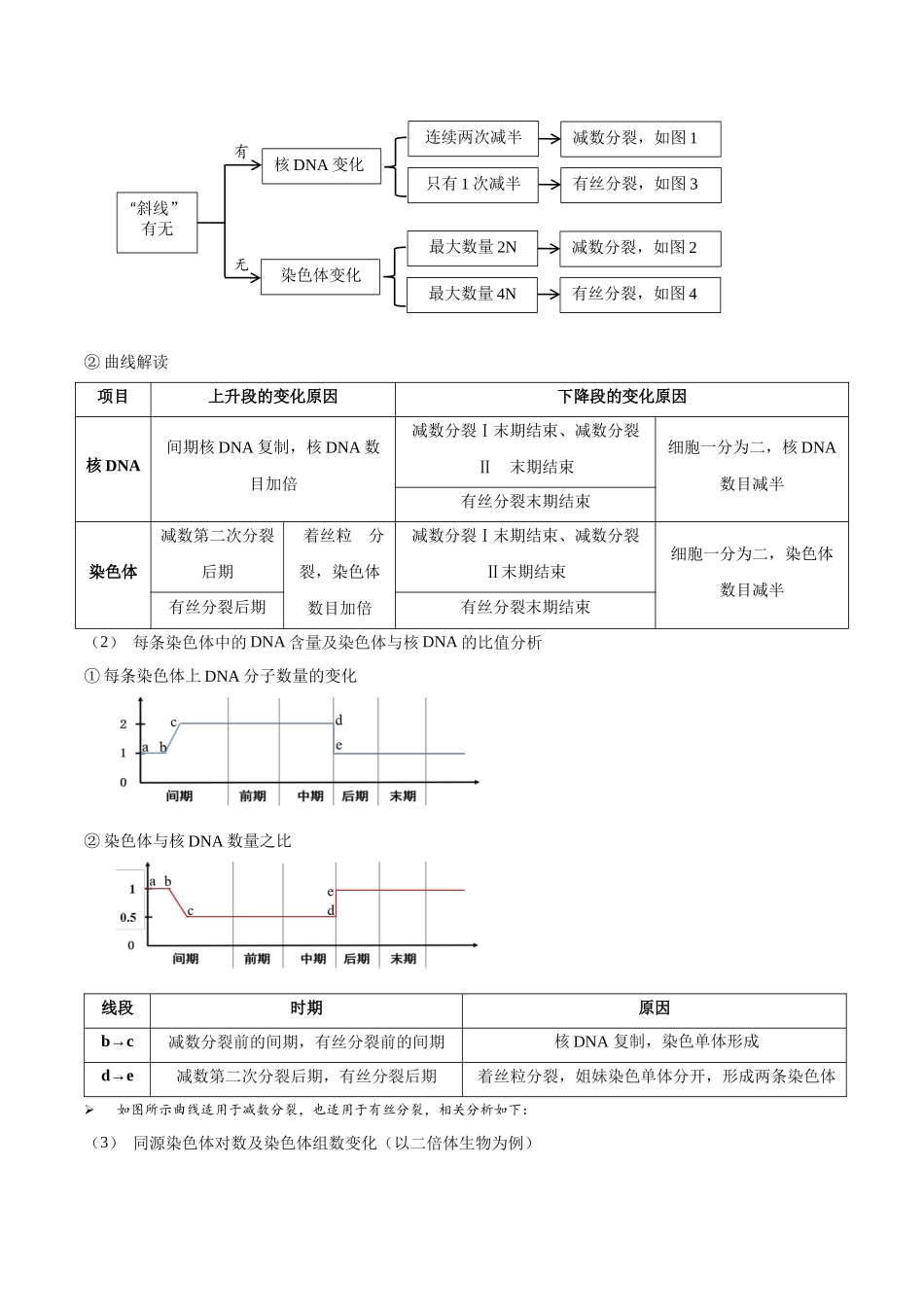 微专题2 细胞分裂的综合分析(讲义)(原卷版).docx_第2页