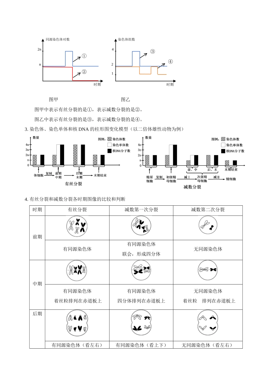 微专题2 细胞分裂的综合分析(讲义)(原卷版).docx_第3页