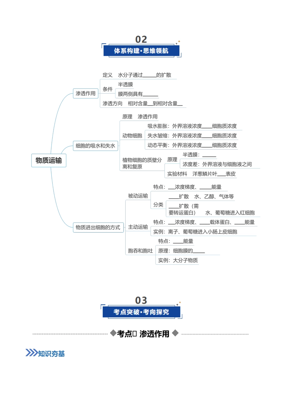 第07讲 物质运输（复习讲义）（全国通用）（学生版）.docx_第3页