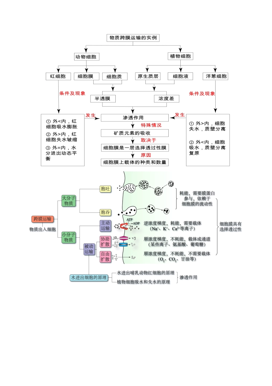 第07讲 物质运输(讲义)(教师版).docx_第3页