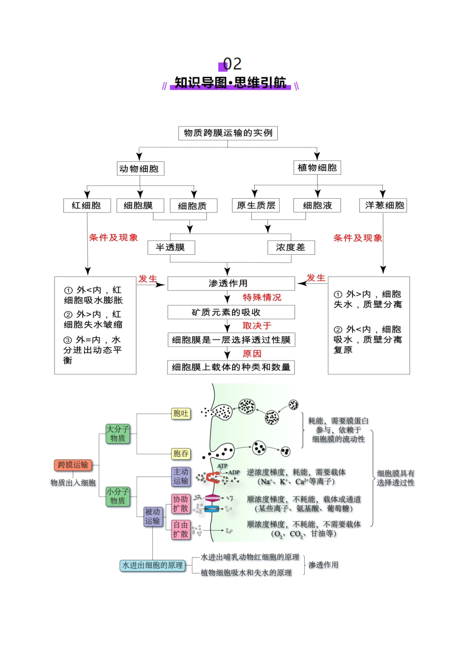 第07讲 物质运输（讲义）（学生版）.docx_第3页