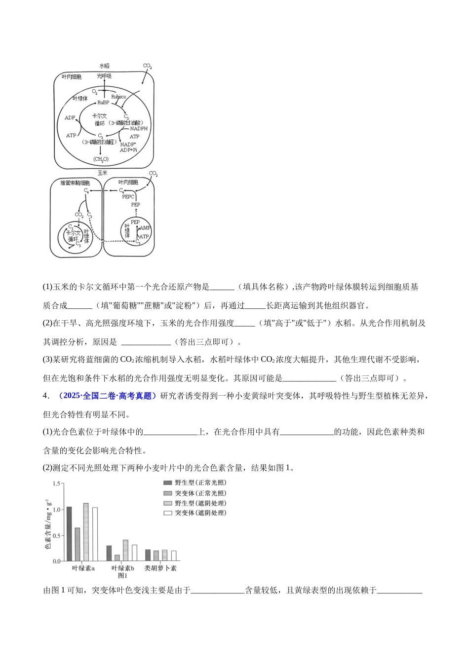 微专题03 光呼吸、C4植物等特殊代谢类型 (培优专练)(学生版).docx_第3页