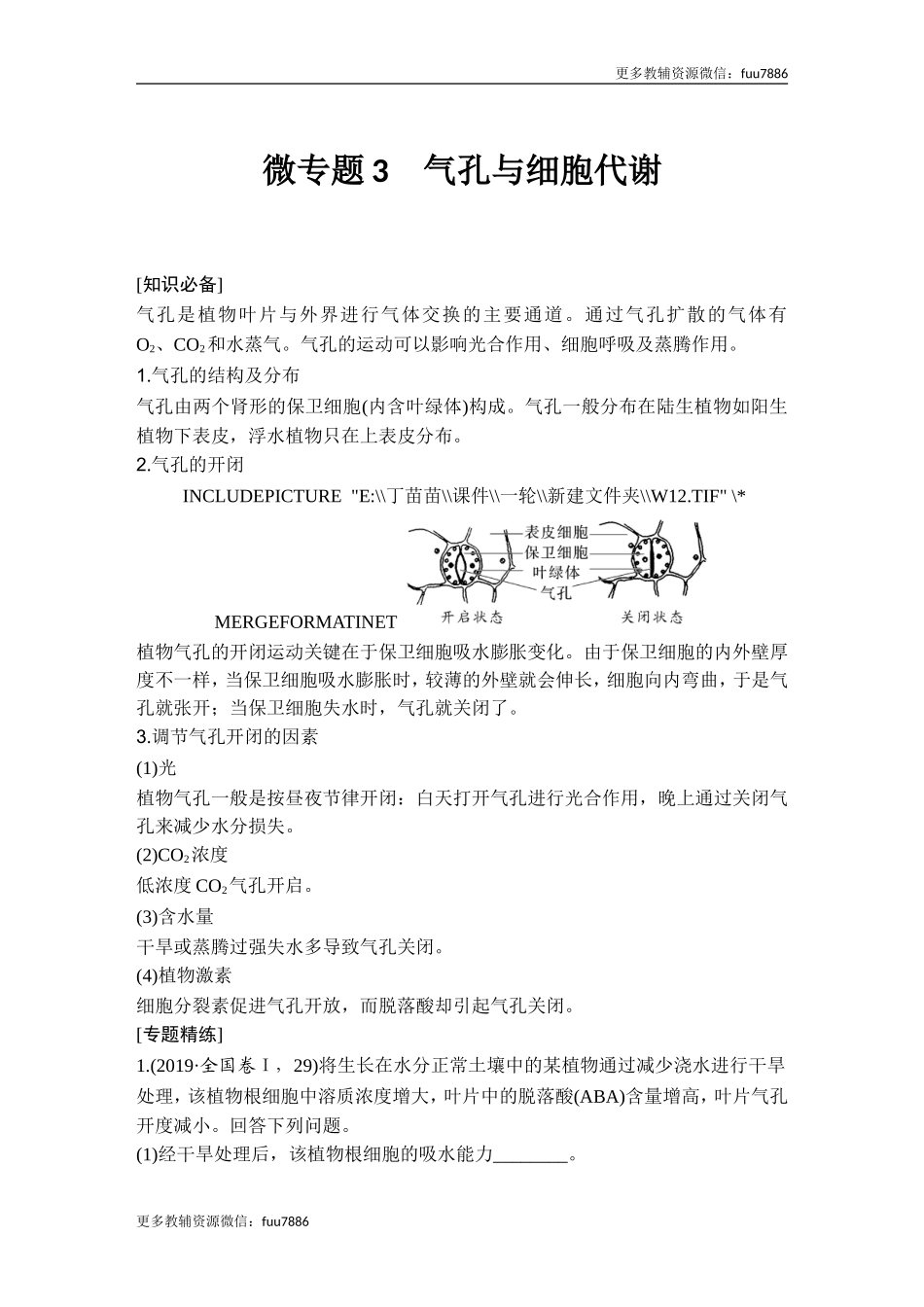 微专题3 气孔与细胞代谢.doc_第1页