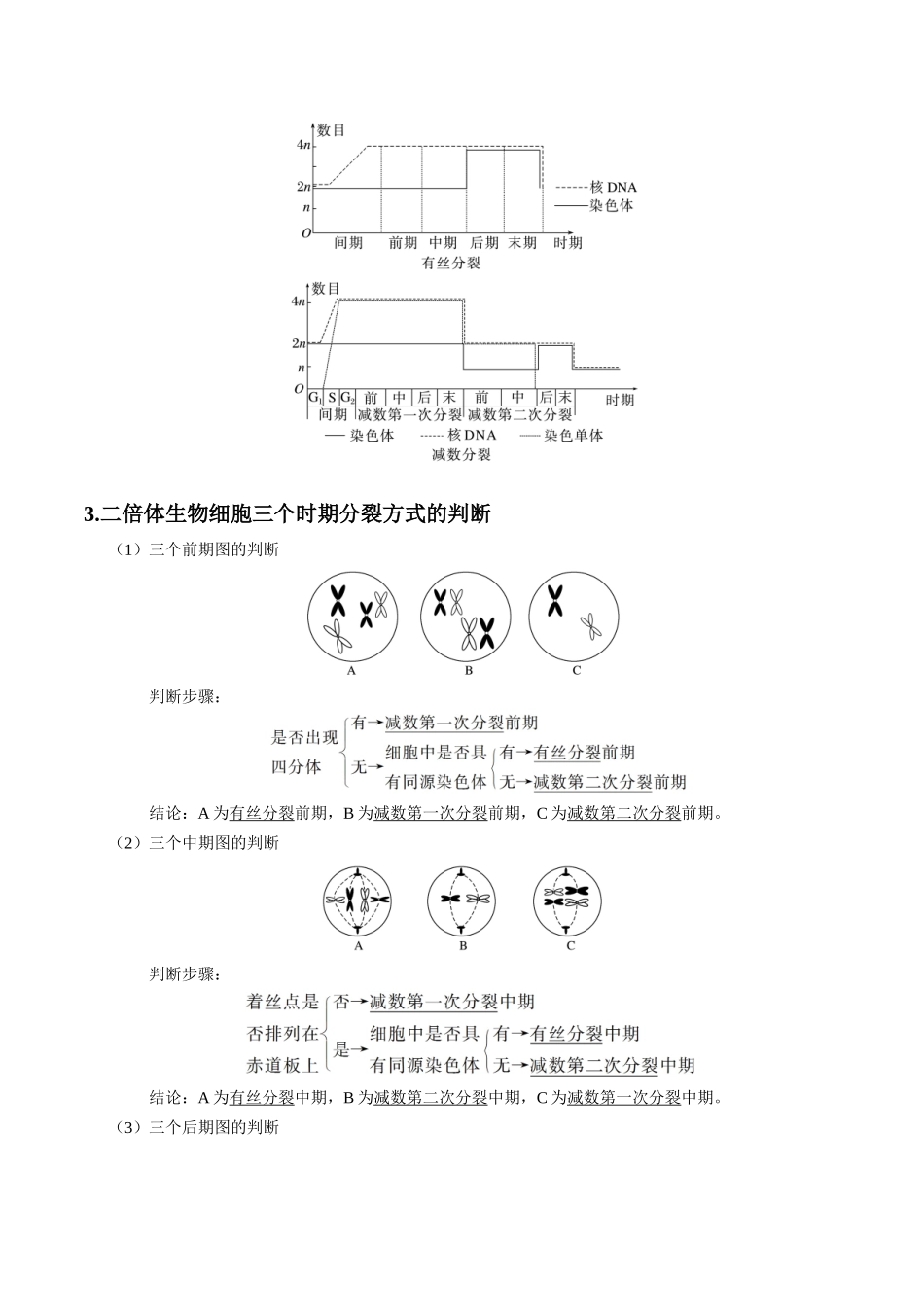 微专题3 有丝分裂和减数分裂 解析版.docx_第2页