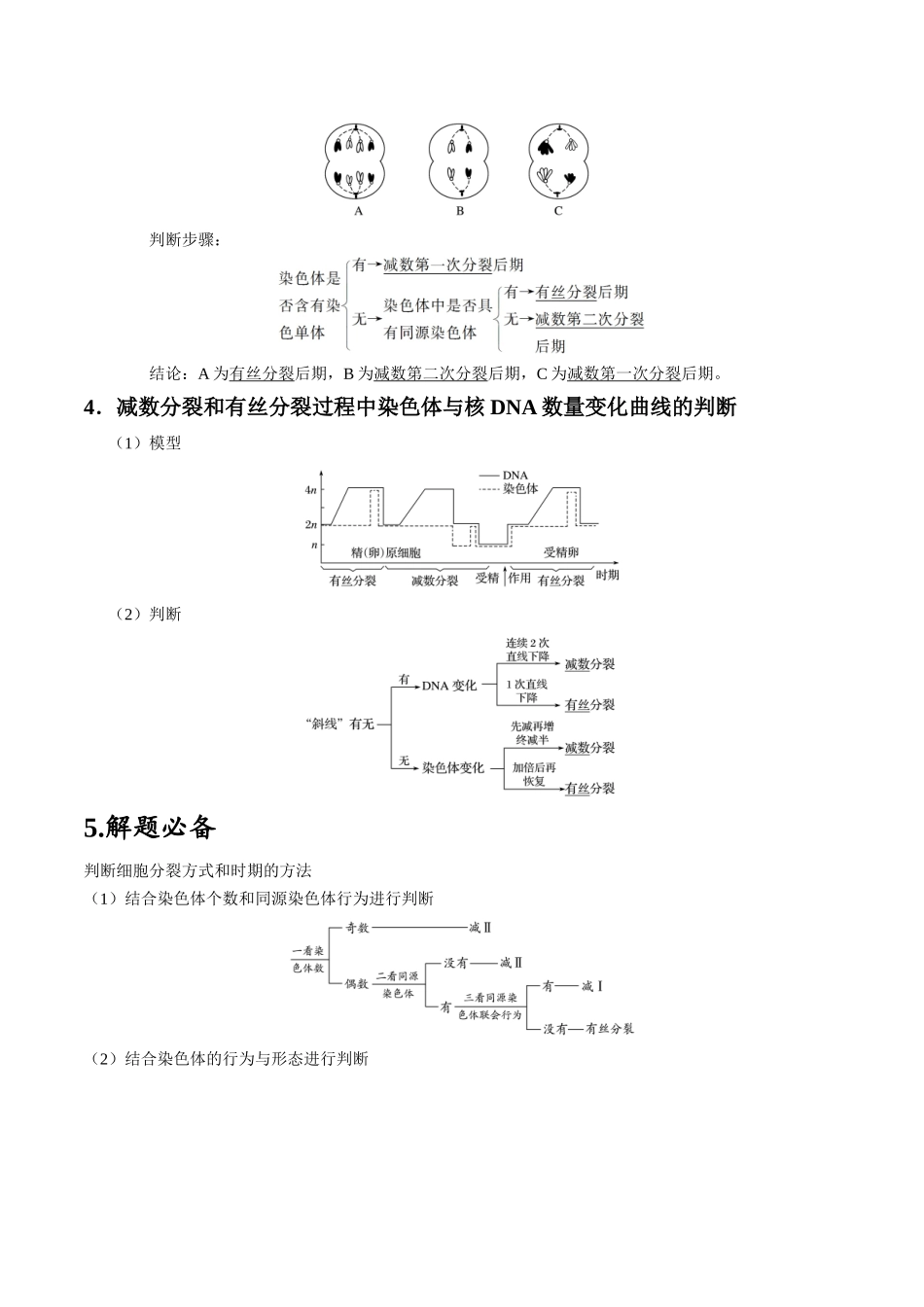 微专题3 有丝分裂和减数分裂 原卷版.docx_第3页