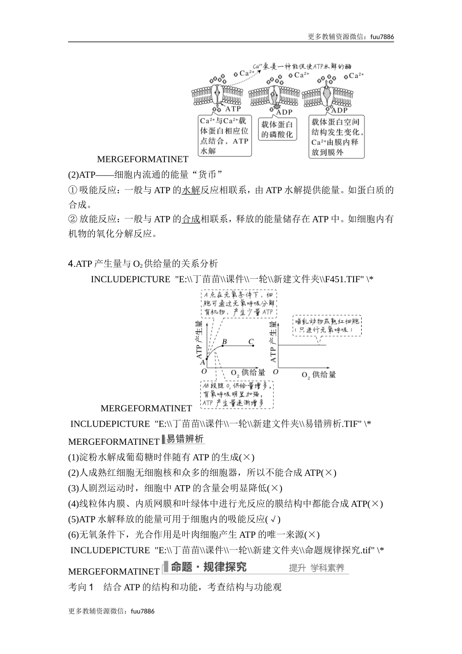第7讲 ATP和酶.doc_第3页