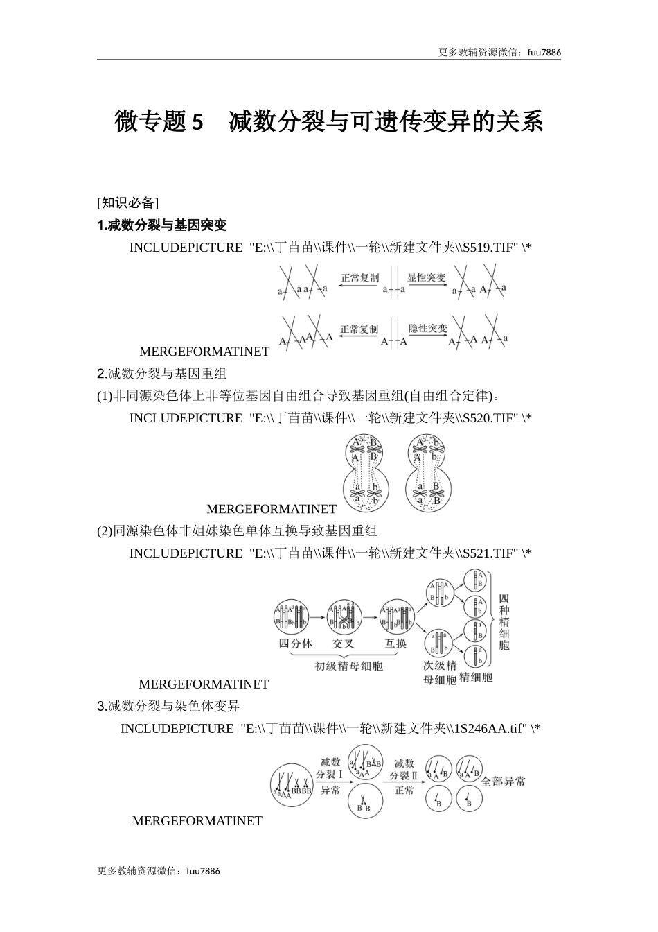 微专题5 减数分裂与可遗传变异的关系.doc_第1页