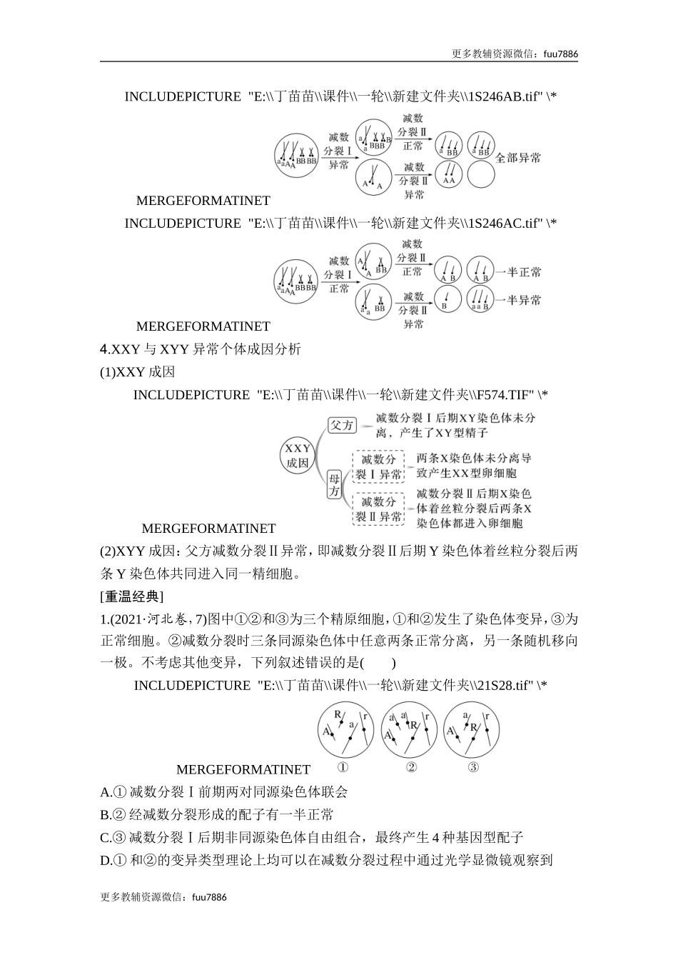 微专题5 减数分裂与可遗传变异的关系.doc_第2页