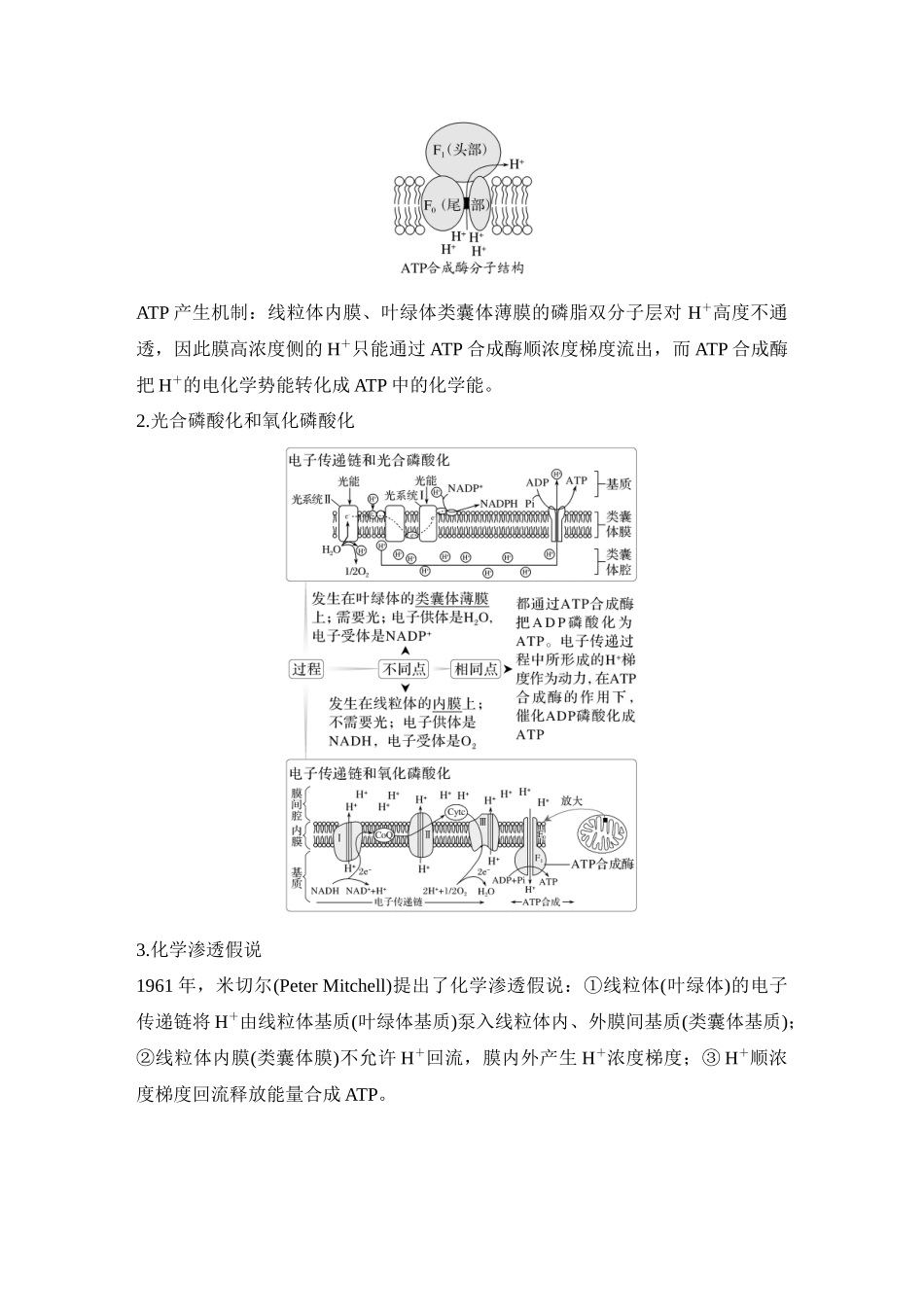 微专题5:电子传递链、化学渗透假说及逆境胁迫专项训练.docx_第2页
