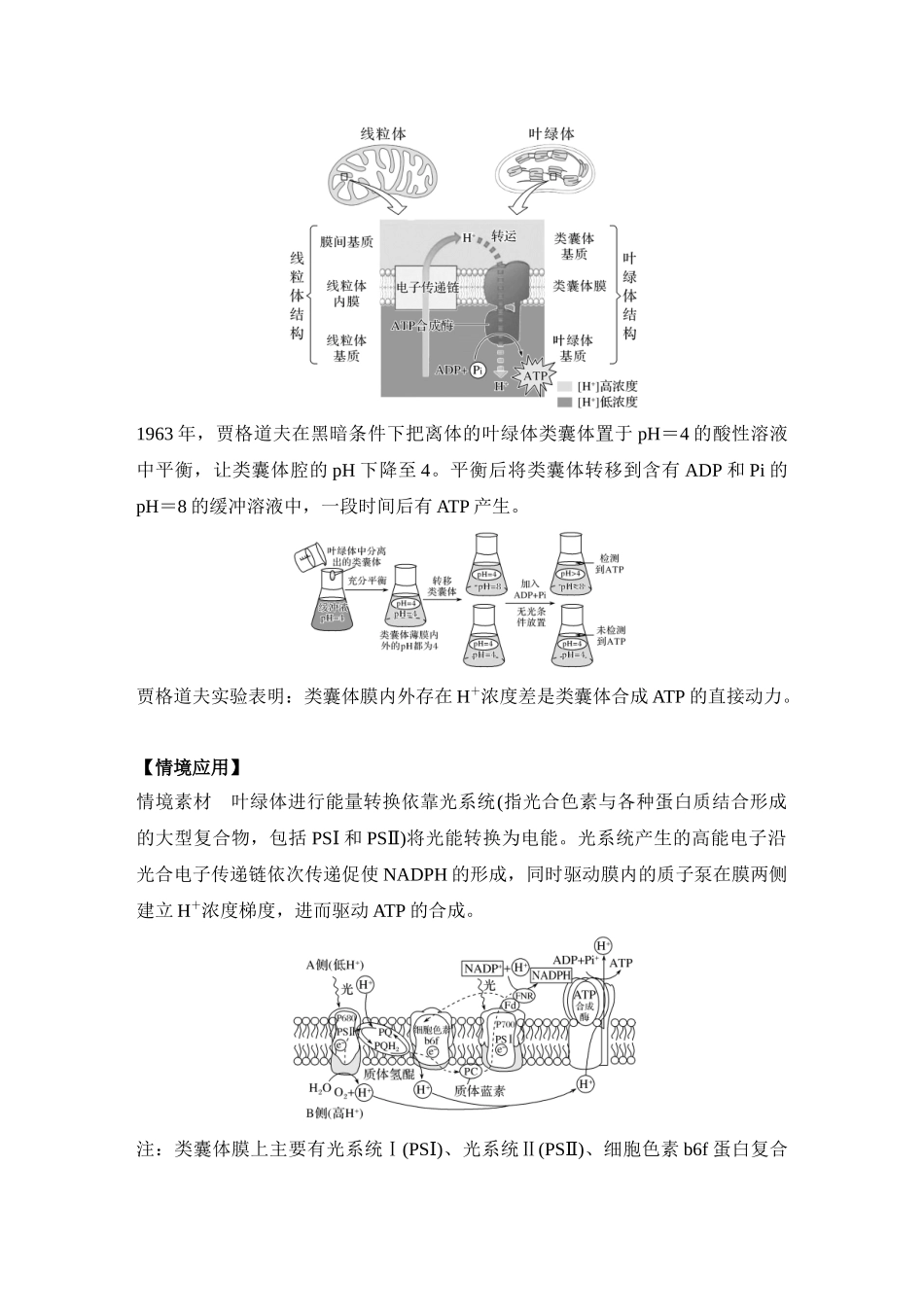 微专题5:电子传递链、化学渗透假说及逆境胁迫专项训练.docx_第3页