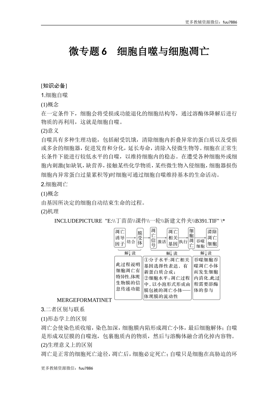 微专题6 细胞自噬与细胞凋亡.doc_第1页