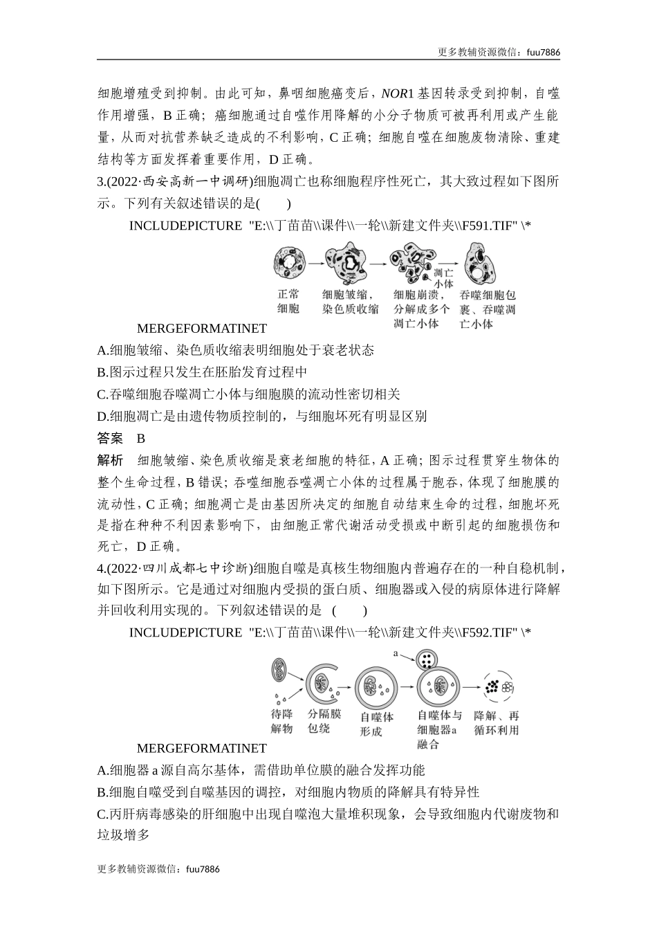 微专题6 细胞自噬与细胞凋亡.doc_第3页