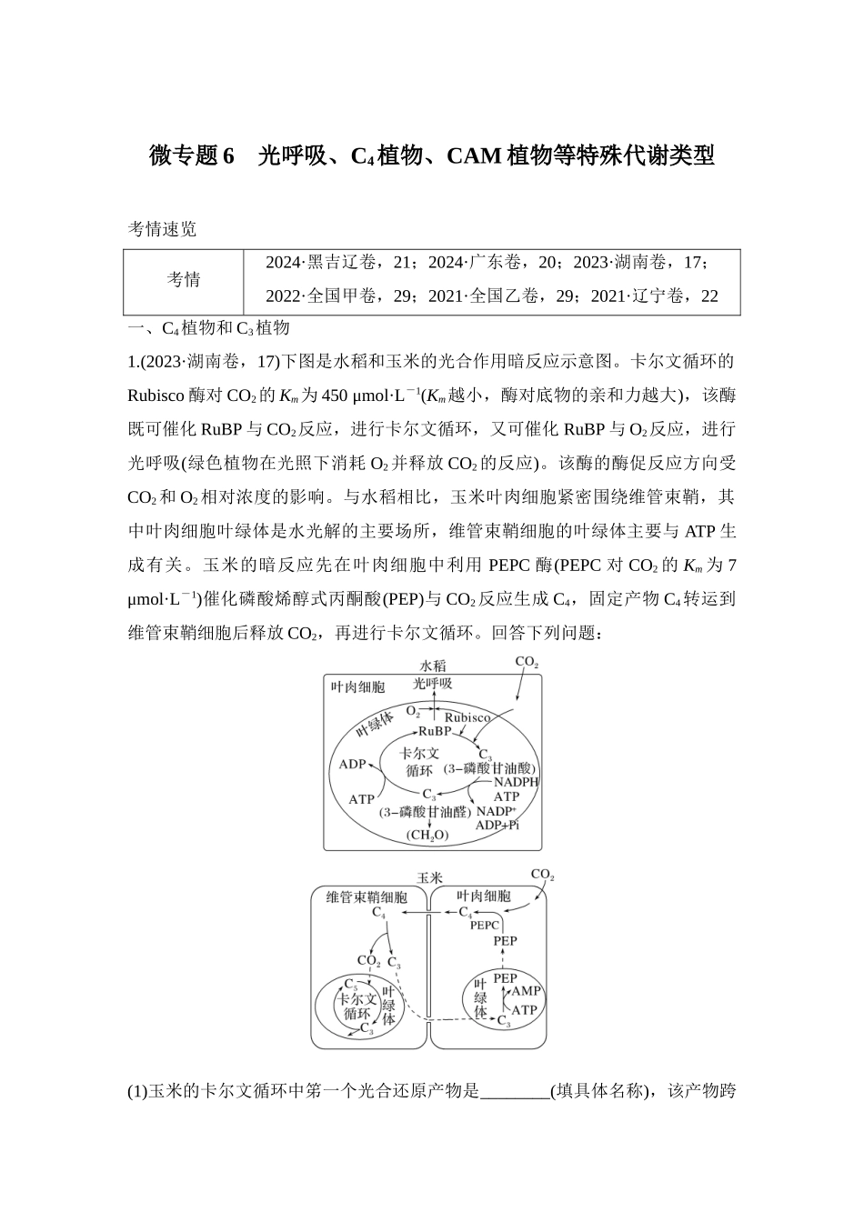 微专题6：光呼吸、C4植物、CAM植物等特殊代谢类型训练.docx_第1页