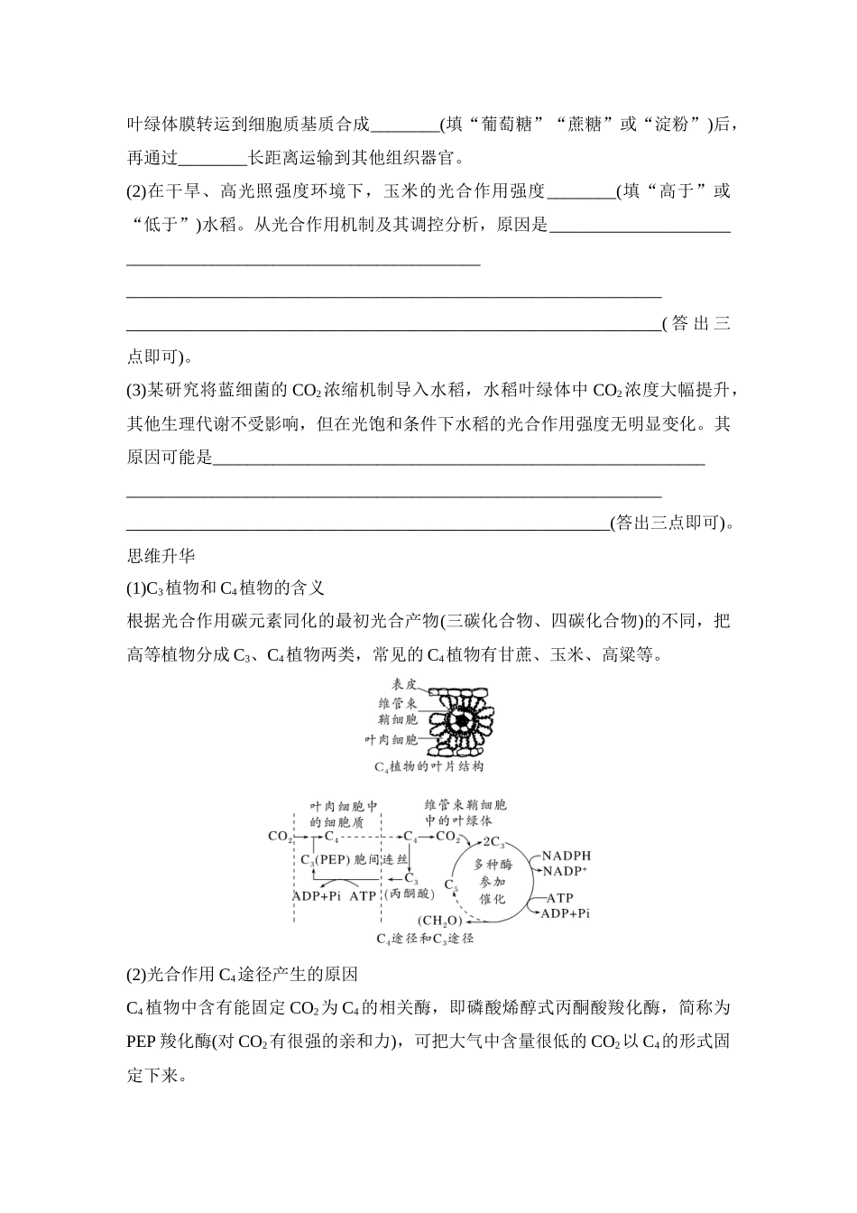 微专题6：光呼吸、C4植物、CAM植物等特殊代谢类型训练.docx_第2页