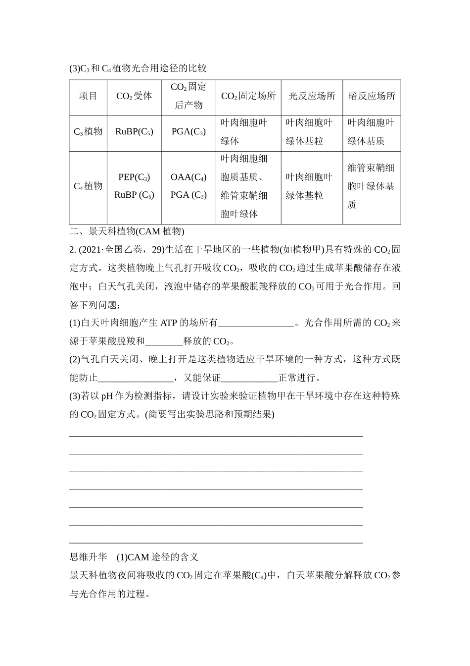 微专题6：光呼吸、C4植物、CAM植物等特殊代谢类型训练.docx_第3页