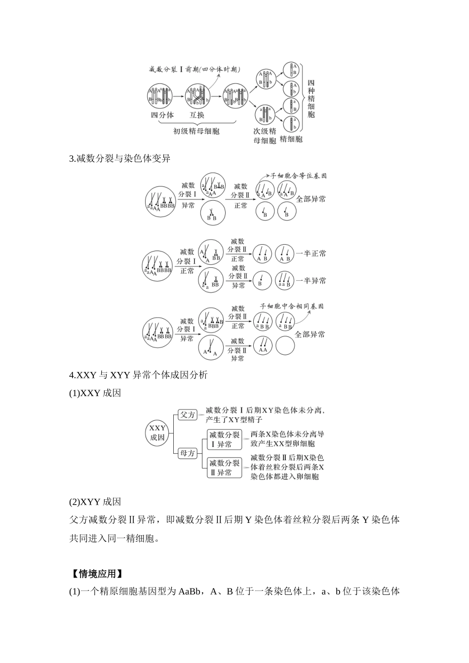 微专题7:细胞分裂与变异、细胞自噬、焦亡、铁死亡等.docx_第3页