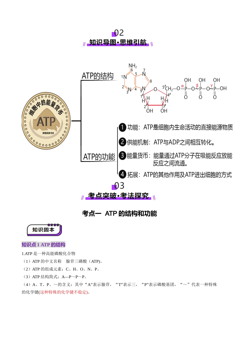 第08讲 酶和ATP（第二课时）（讲义）（学生版）.docx_第3页