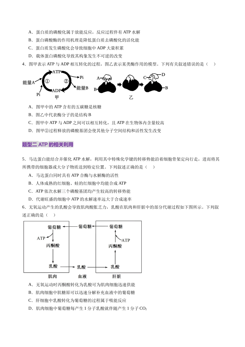 第08讲 酶和ATP(第二课时)(练习)(学生版).docx_第2页