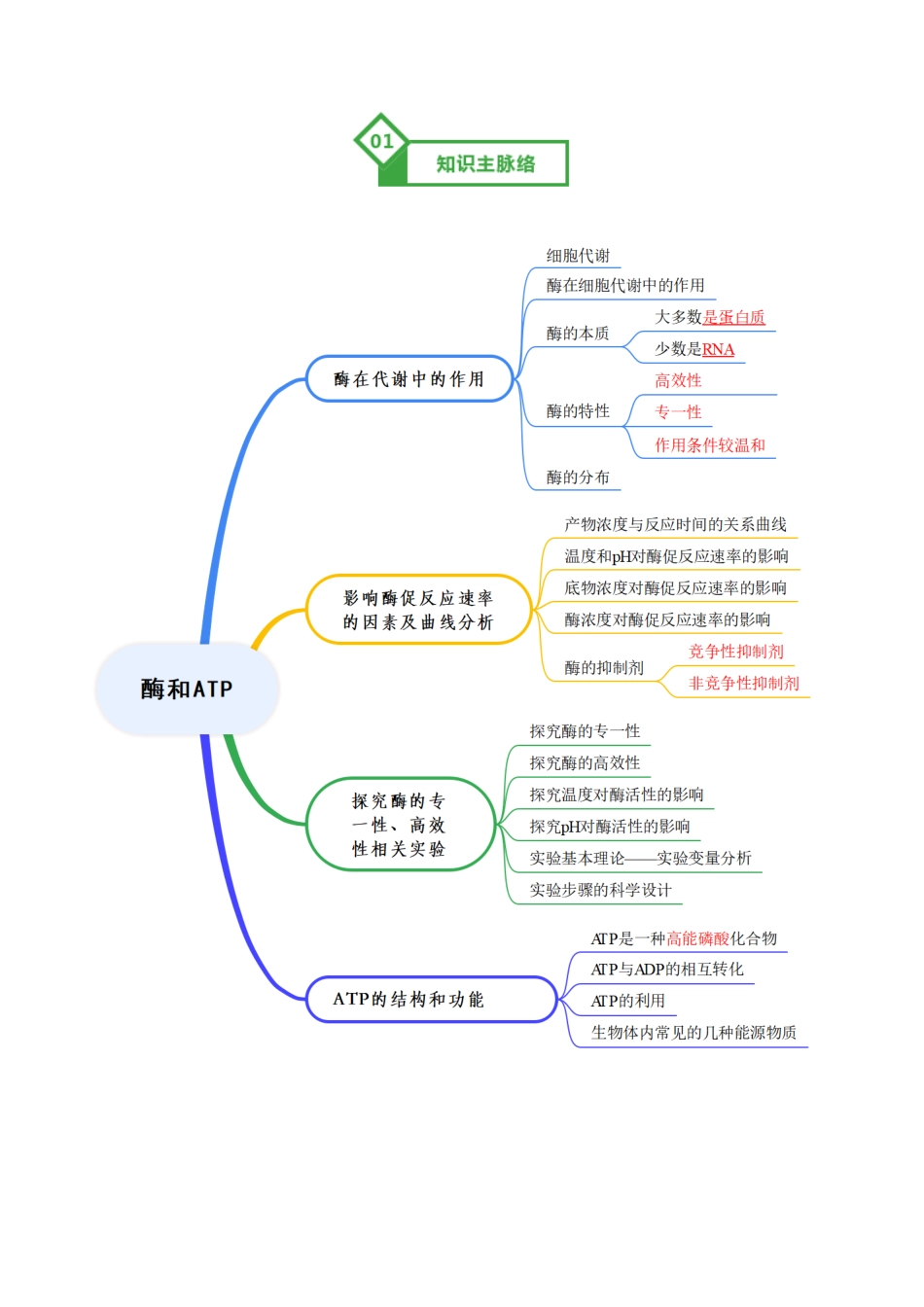 第08讲 酶和ATP(知识清单)(全国通用)(学生版).docx_第2页