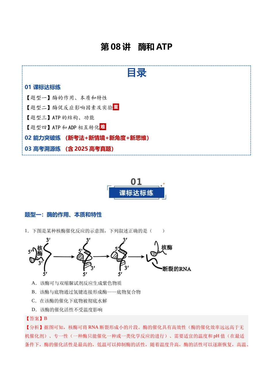 第08讲 酶和ATP(专项训练)(黑吉辽蒙专用)(教师版).docx_第1页