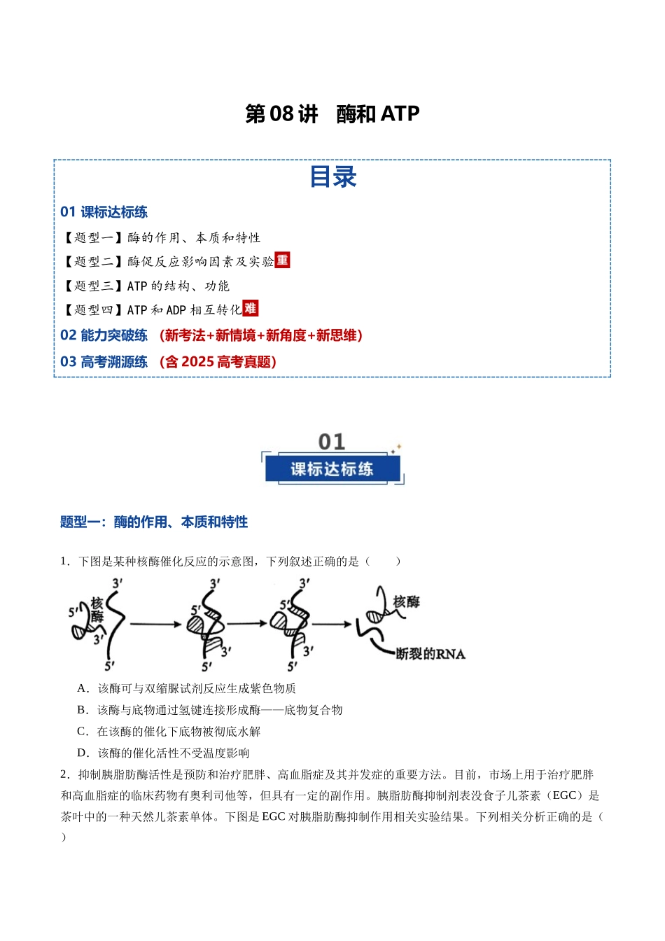 第08讲 酶和ATP(专项训练)(黑吉辽蒙专用)(学生版).docx_第1页