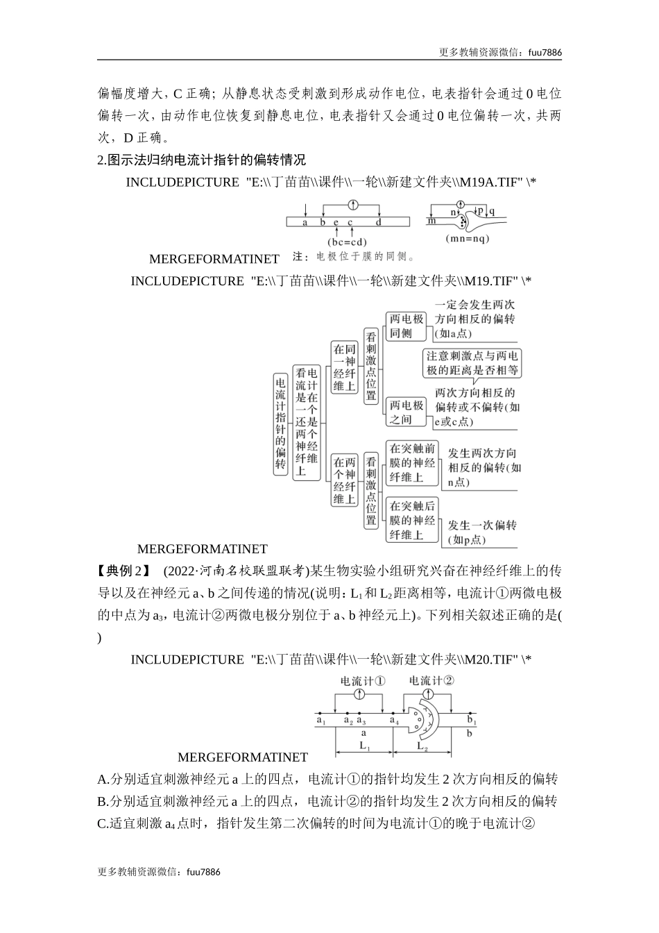 微专题11 兴奋传导与传递的相关实验探究.doc_第2页