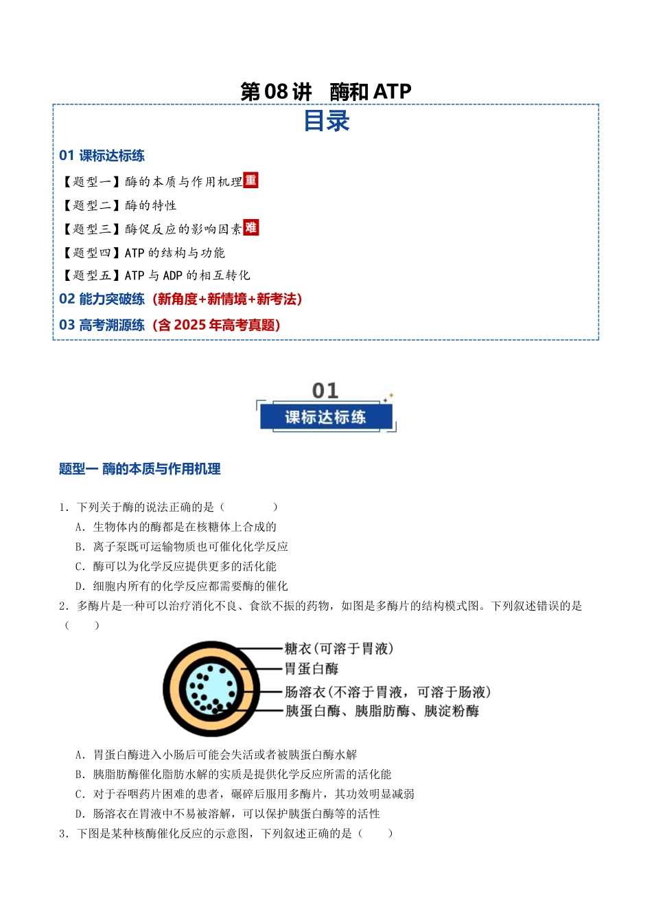 第08讲 酶和ATP（专项训练）（学生版）.docx_第1页