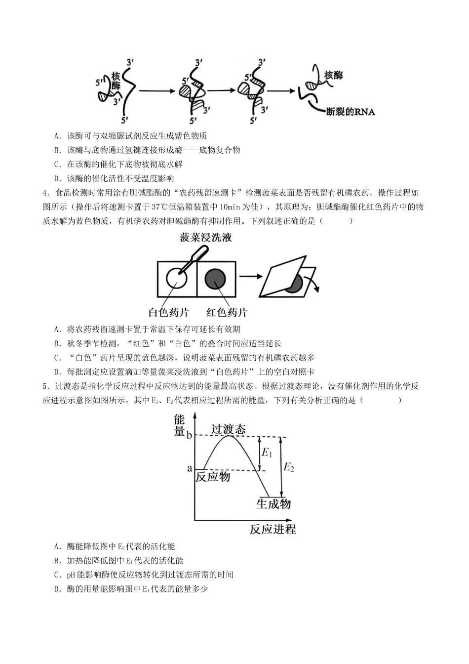 第08讲 酶和ATP（专项训练）（学生版）.docx_第2页