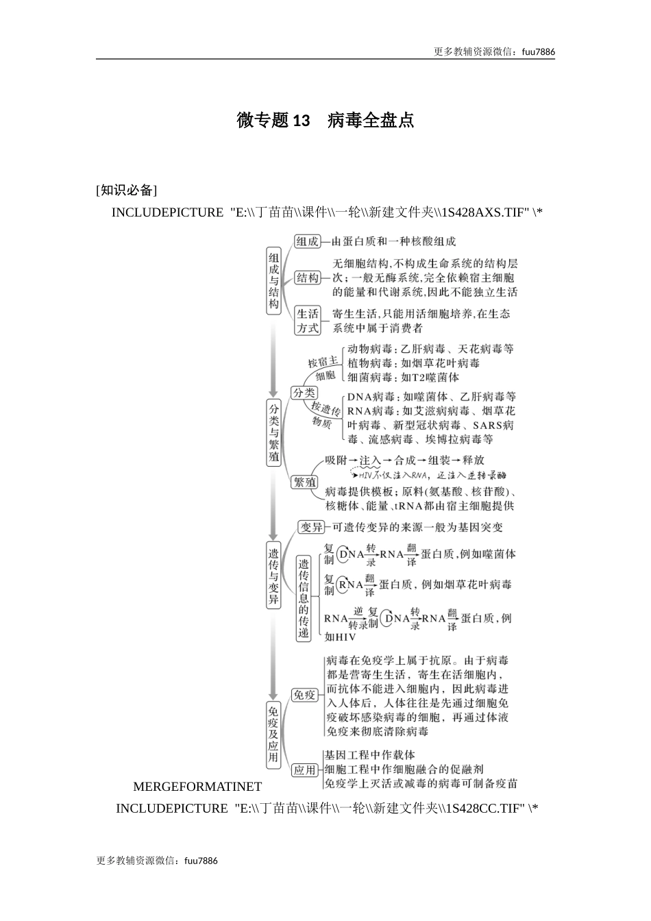 微专题13 病毒全盘点.doc_第1页