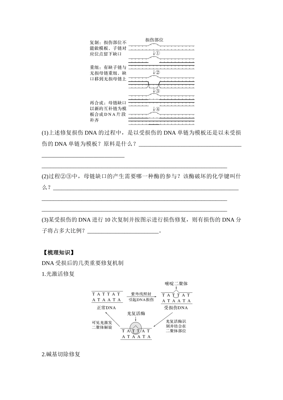 微专题13：DNA损伤的修复机制与基因表达调控.docx_第2页