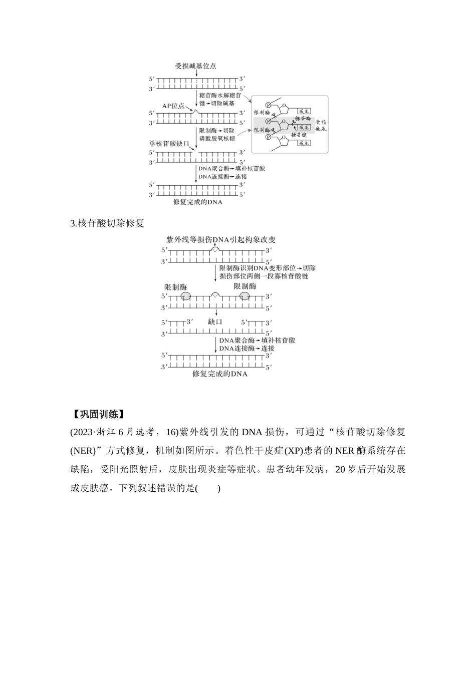 微专题13：DNA损伤的修复机制与基因表达调控.docx_第3页