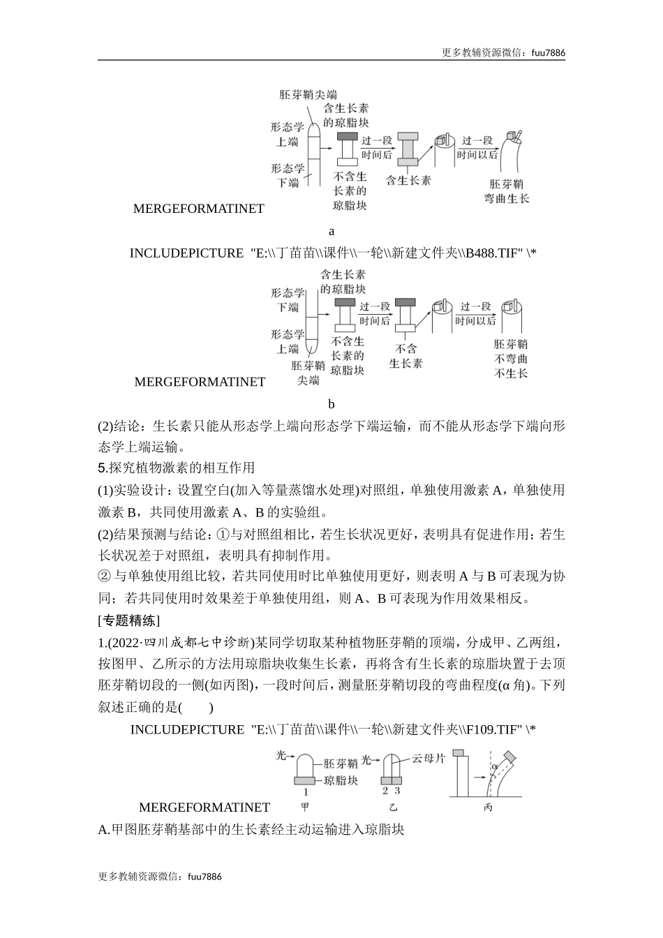 微专题14 与植物激素相关的实验设计.doc_第2页